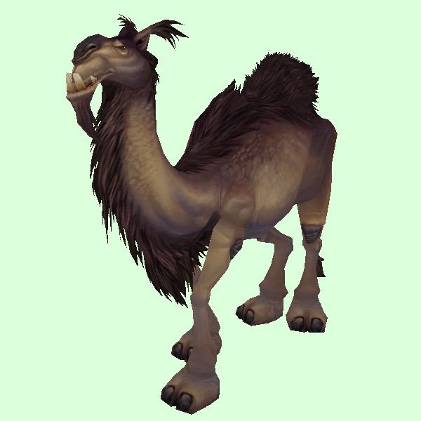 Camel_Brown.png