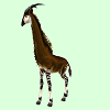 GiraffeSkinDarkT.png