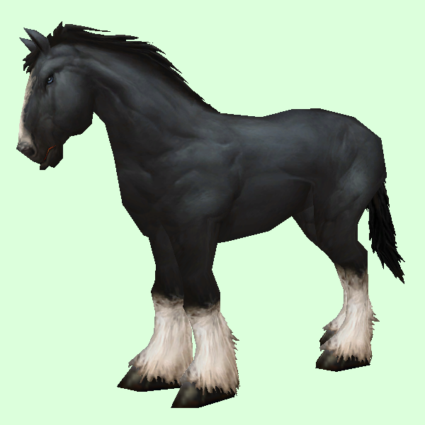 HorseSkinBlack.png