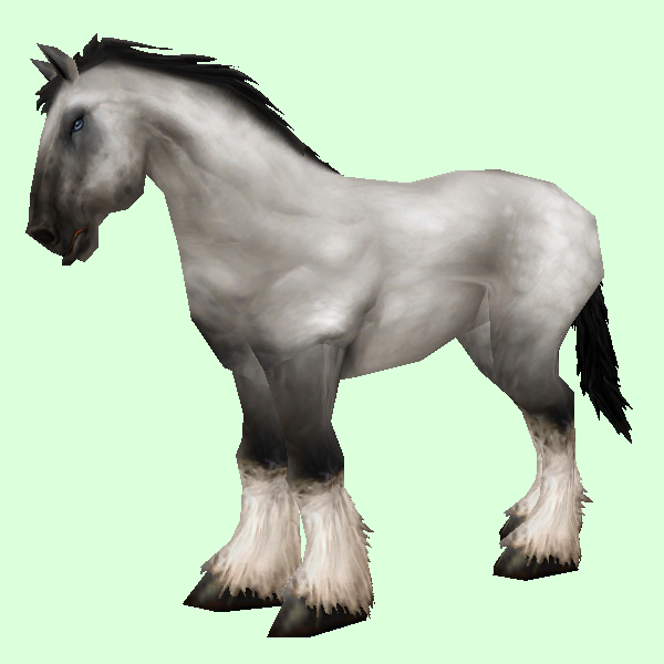 HorseSkinWhite.png