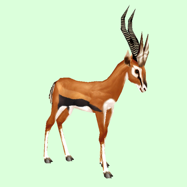 GazelleSkinOrange.png