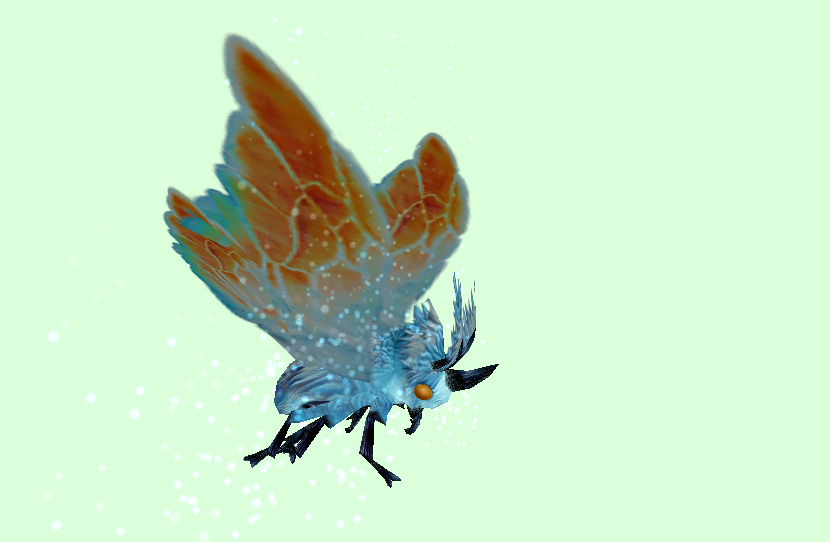 MothBlueOrange.png