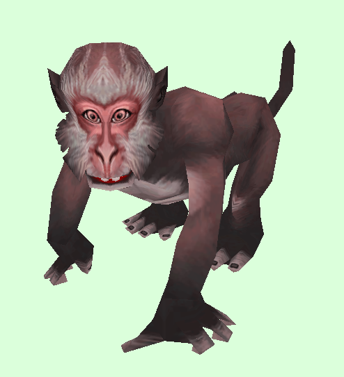 MonkeyCocoa.png