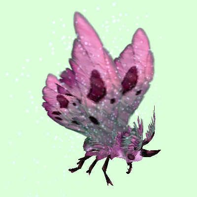 MothPink.png