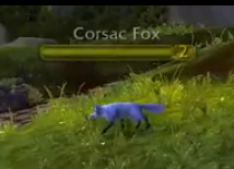 Corsac Fox.png