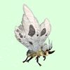 MothSkinBeige-WhiteWingst.jpg