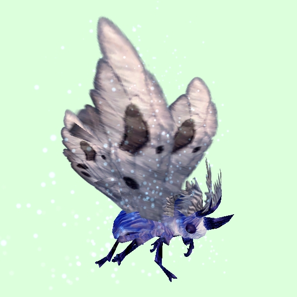 MothSkinBlue-GreyWings.jpg