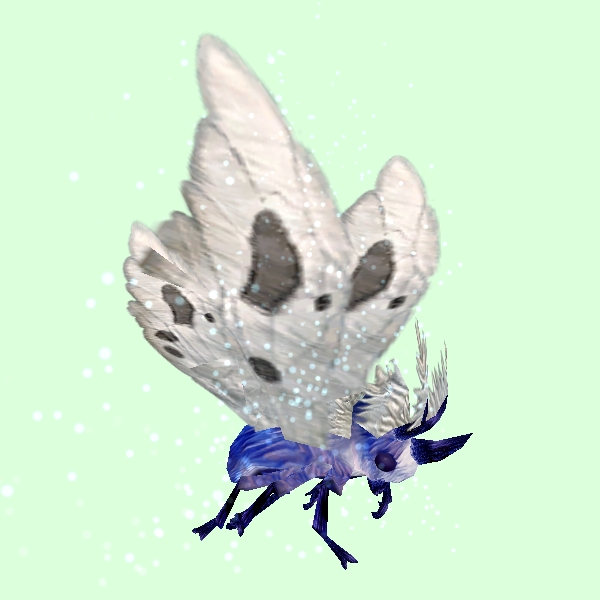 MothSkinBlue-WhiteWings.jpg