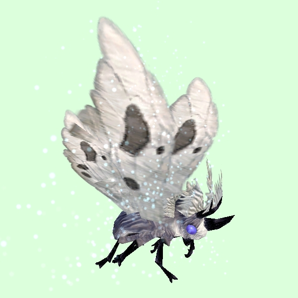 MothSkinGrey-WhiteWings.jpg