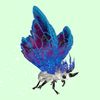 MothSkinWhite-BlueWingst.jpg