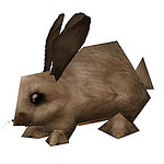 rabbit brown.jpg