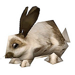 rabbit piebald.jpg