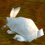 rabbit white.jpg