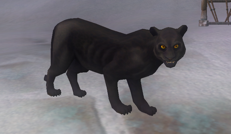 Feline (Panther).png
