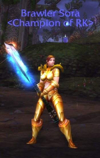 Warrior Transmog DPS