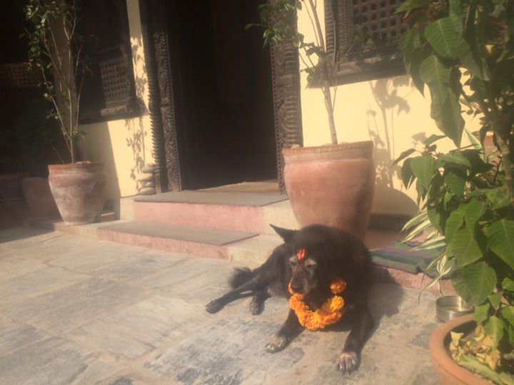 Kali-Tihar.jpg