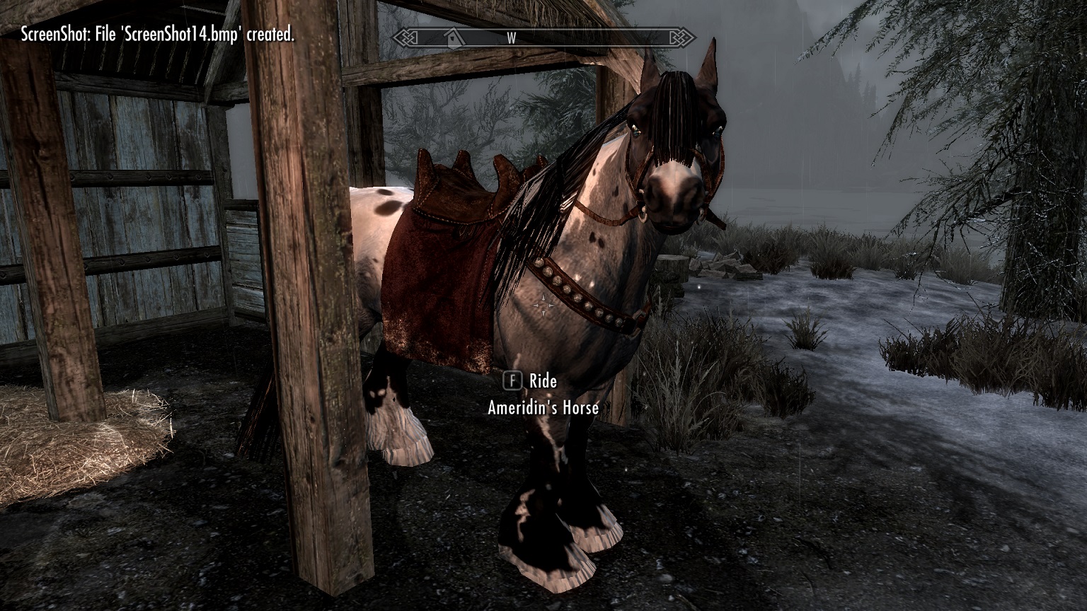 Horse update.jpg