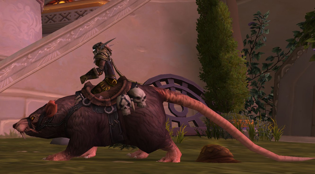 rat mount.jpg