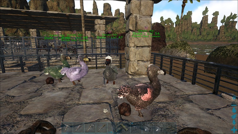 dodos.jpg