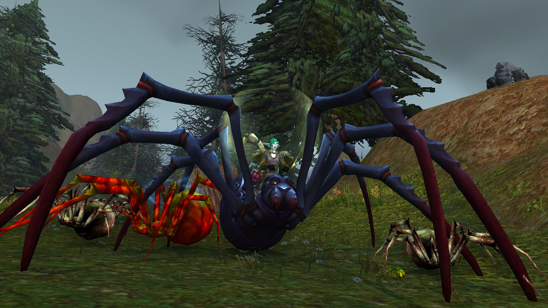 spider mount.jpg