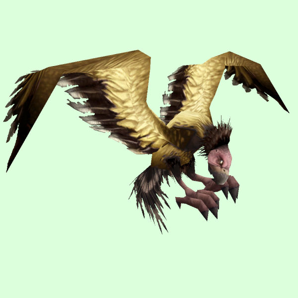 gold condor