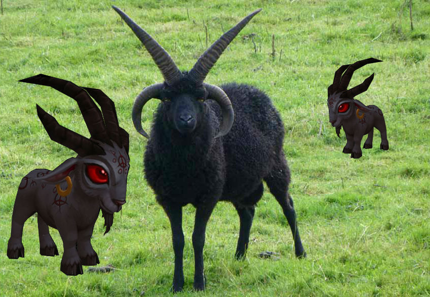 goatgoatsheeps.jpg