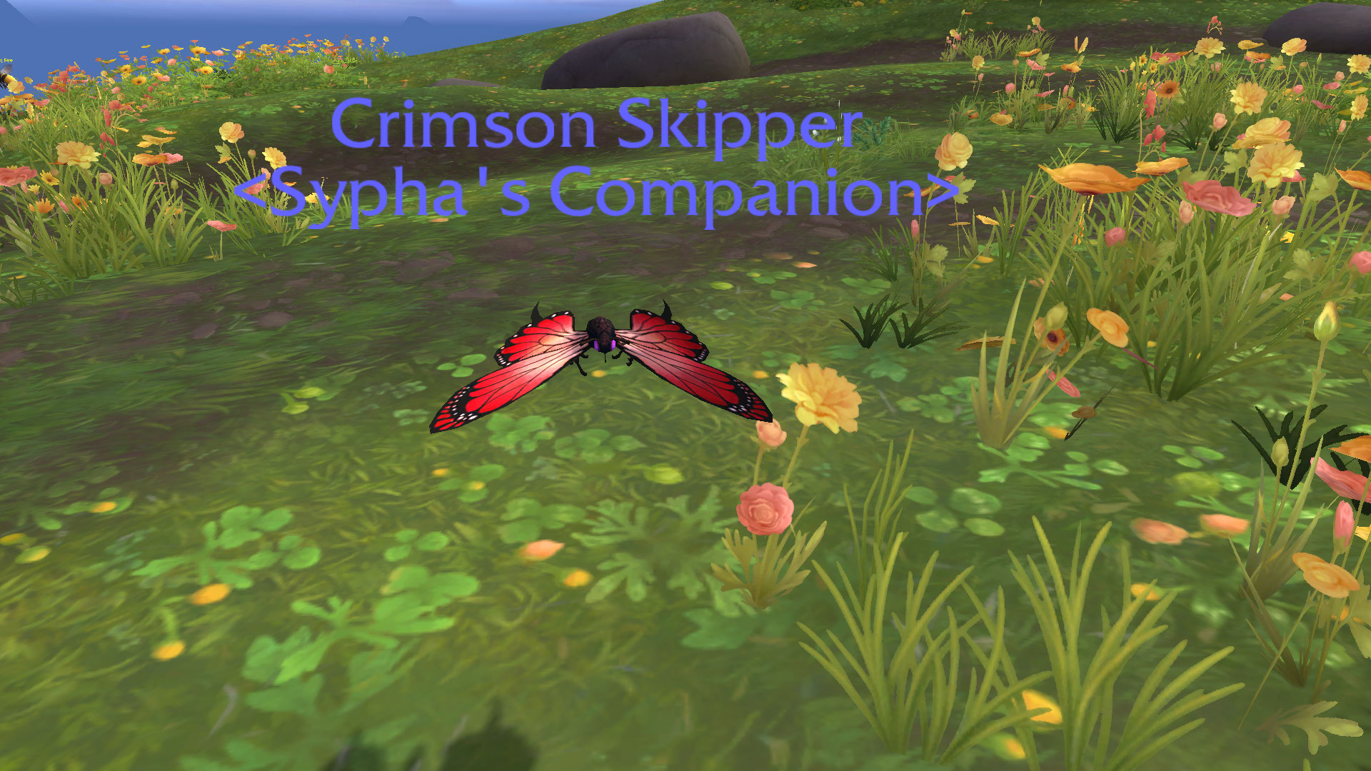 CrimsonSkipper.jpg