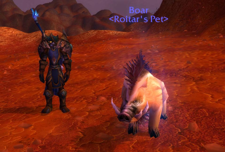 Ashmane Boar.JPG