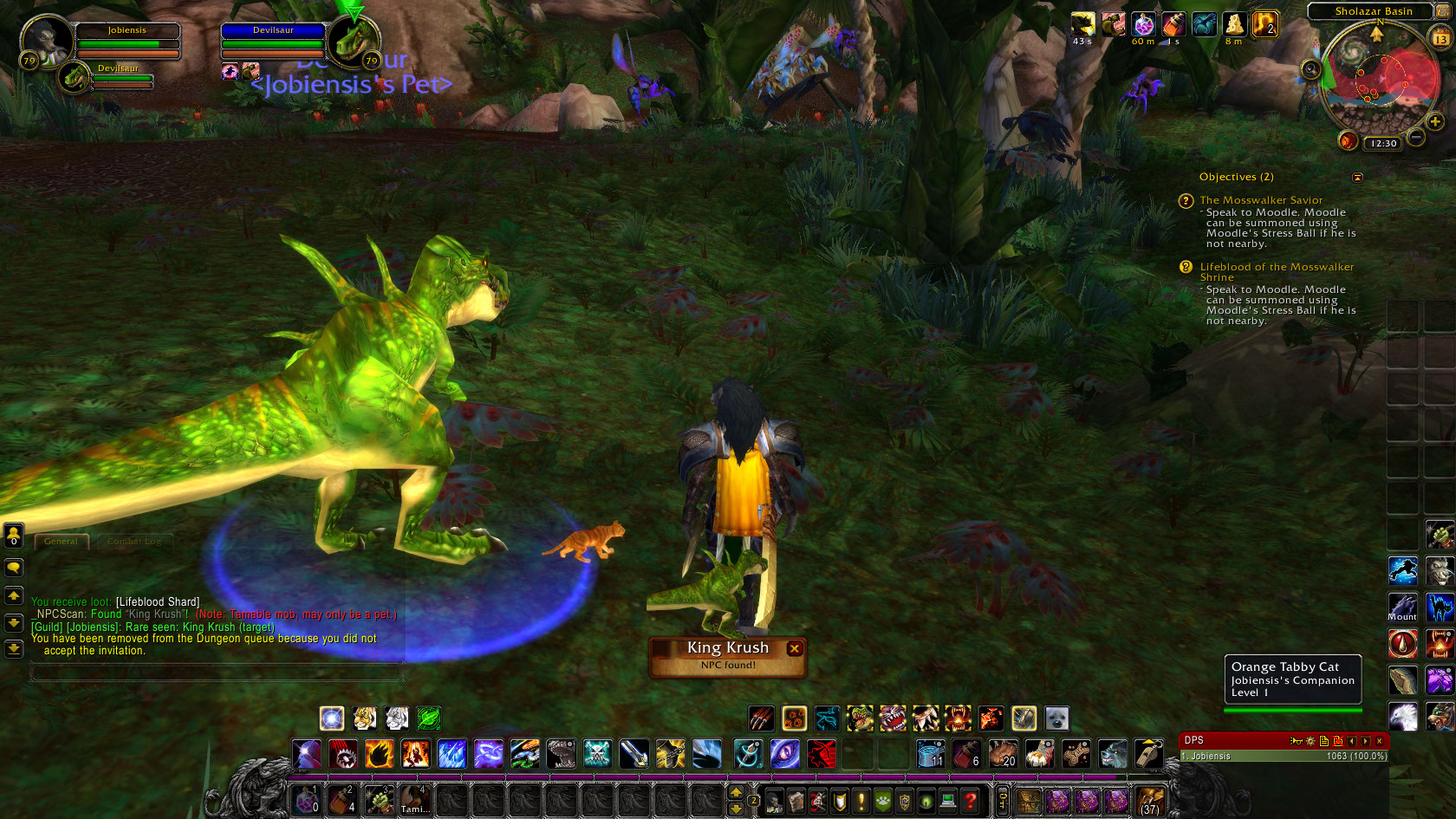 WoWScrnShot_061211_223019.jpg