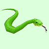 SnakeSkinGreenT.png