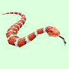 SnakeSkinRedWhiteBlackT.png
