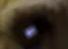 Eye 5.JPG