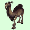 Camel_BrownT.png