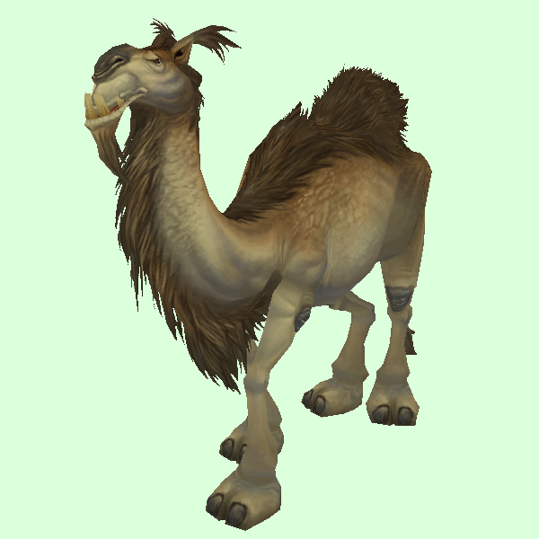 Camel_Tan.png