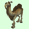 Camel_TanT.png