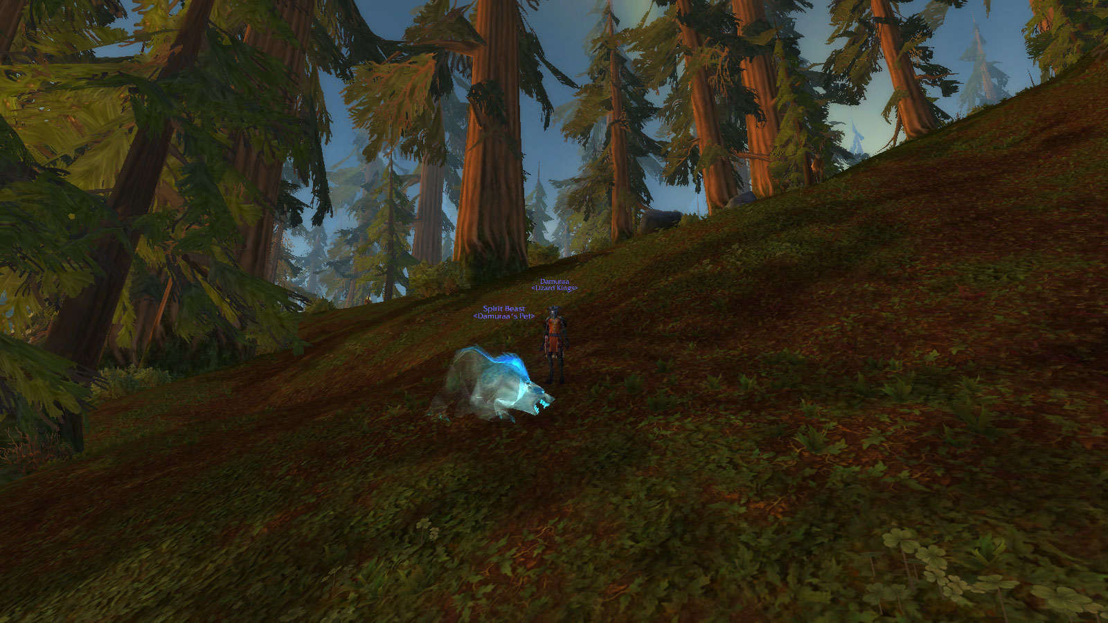 new pet!.jpg