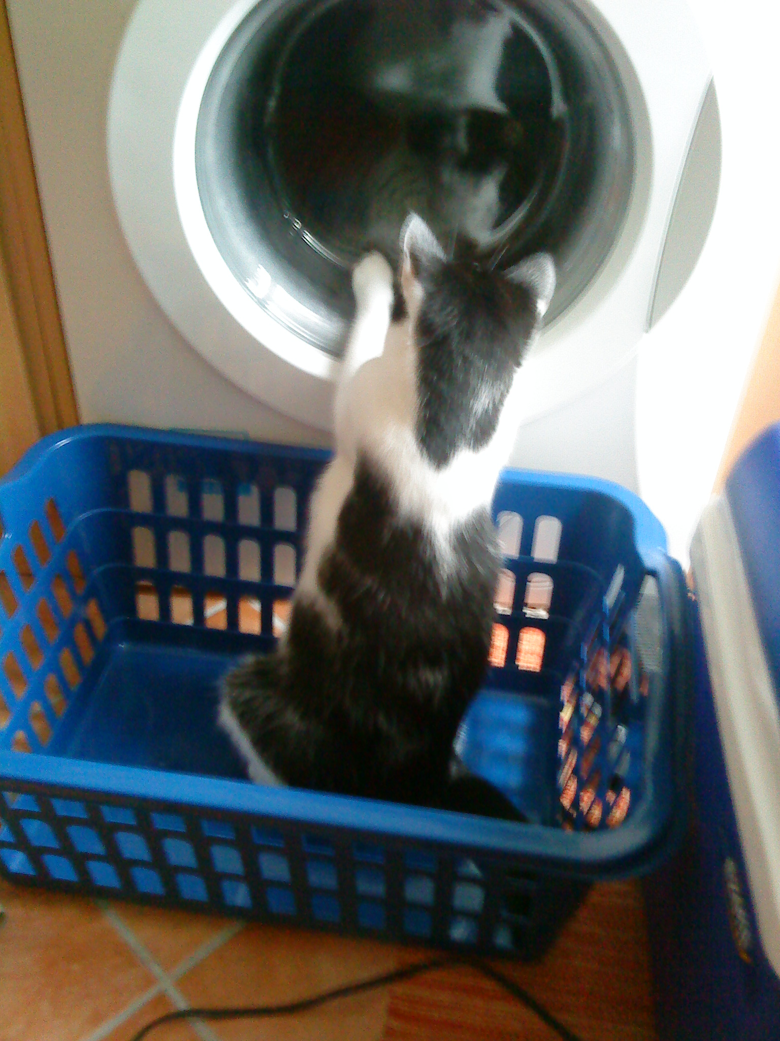 Do you need a bath, Flora?