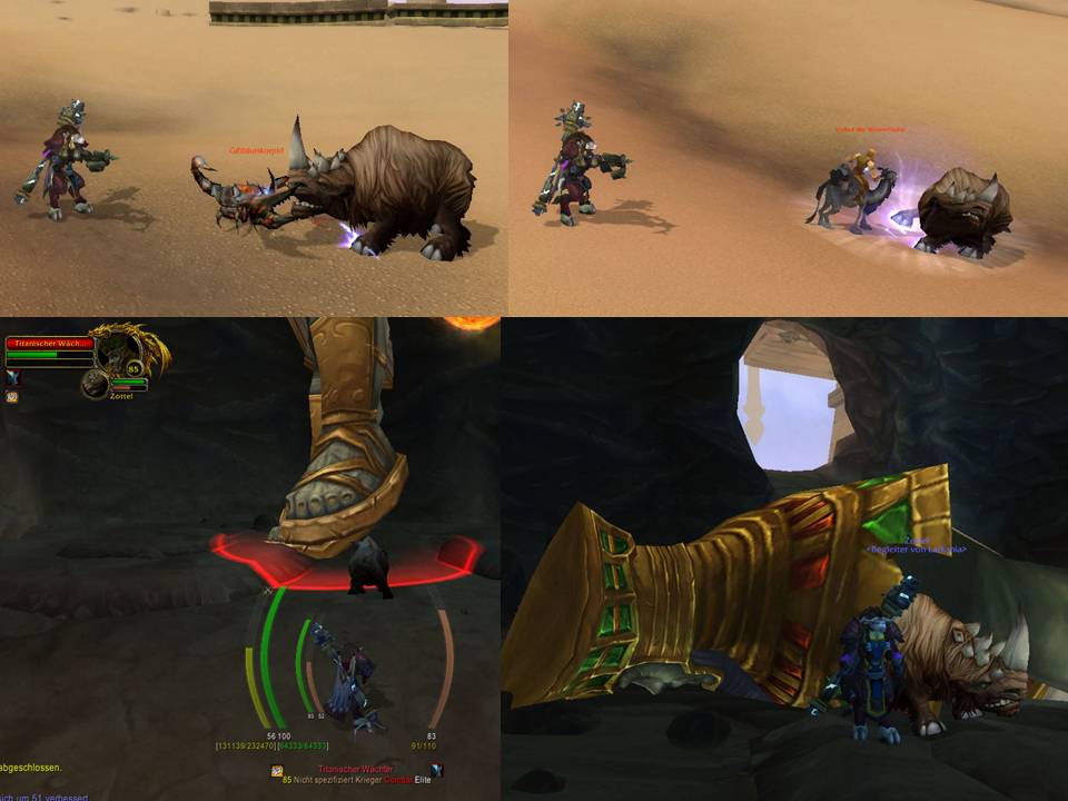 Zottel fight.jpg