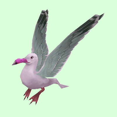 SeagullPink.png