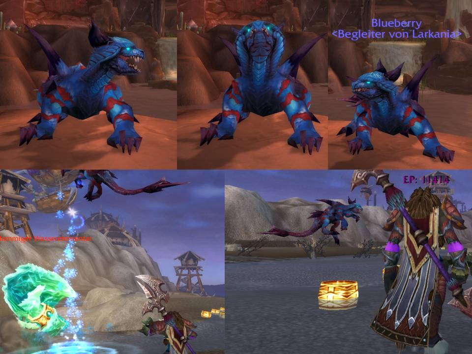 Blueberry animtions.jpg