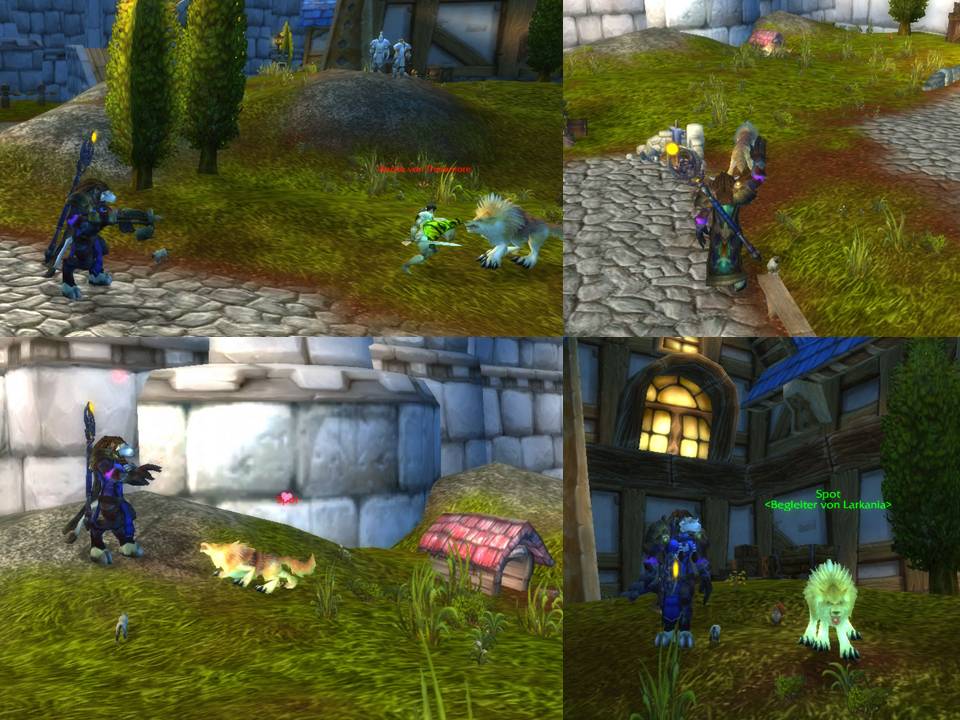 Spot taming.jpg