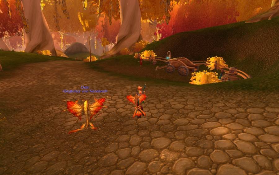 WoWScrnShot_080711_164457.jpg