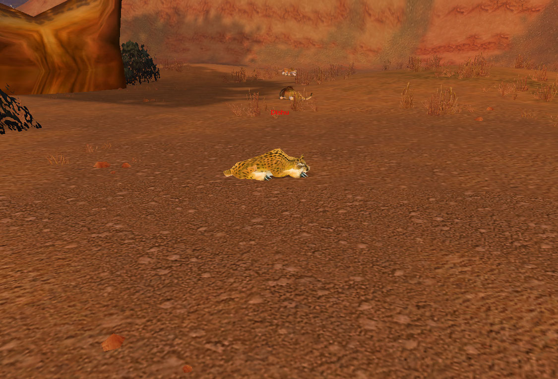 Dishu being lazy