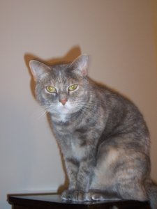 2007 201.jpg