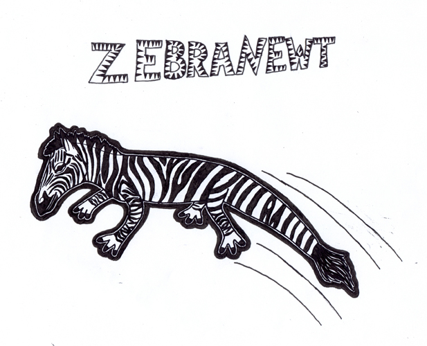 ZEBRANEWT.jpg