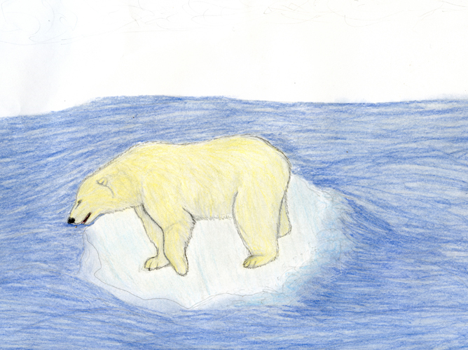 PolarBearWIP.jpg
