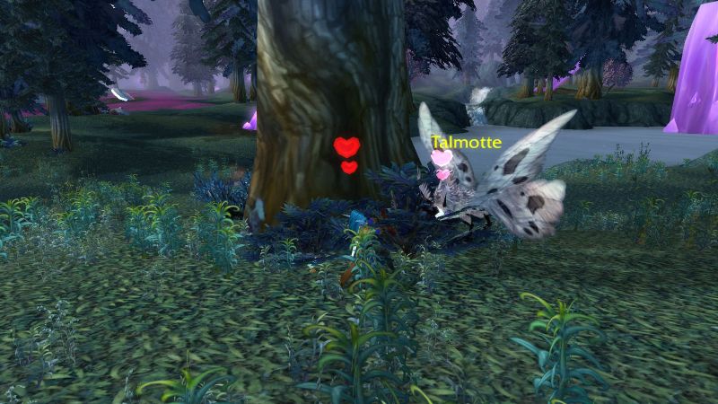 taming.jpg