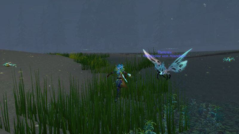 swimming.jpg