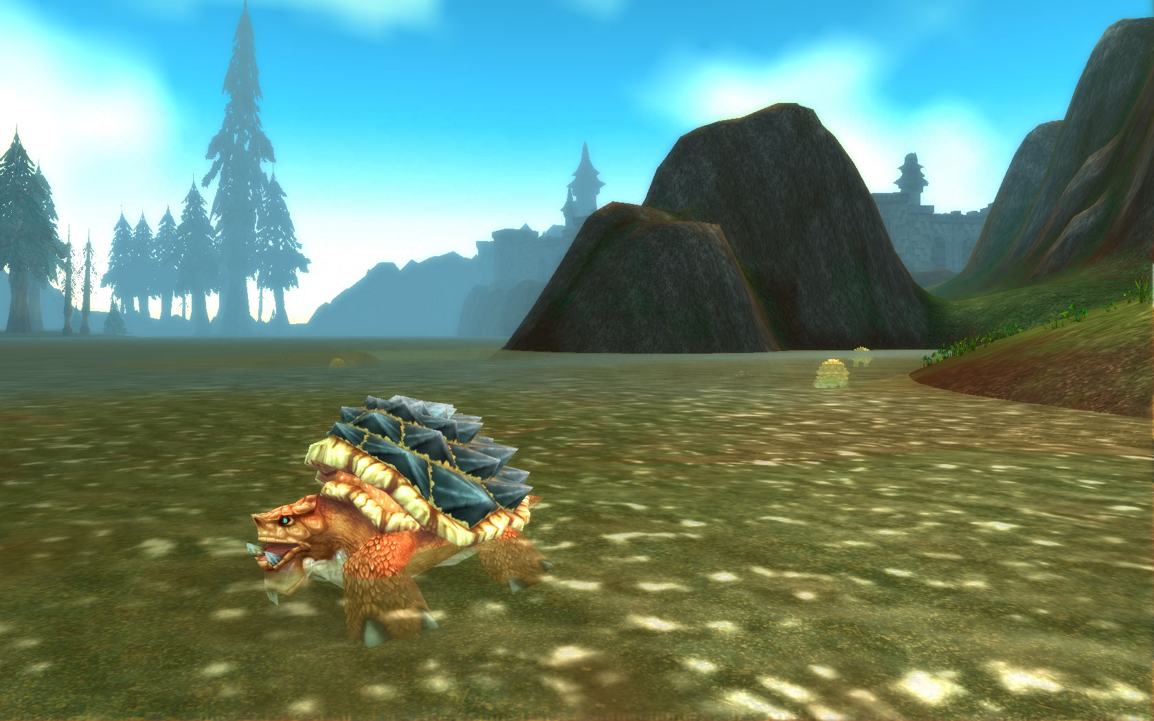Turtle turtle.jpg