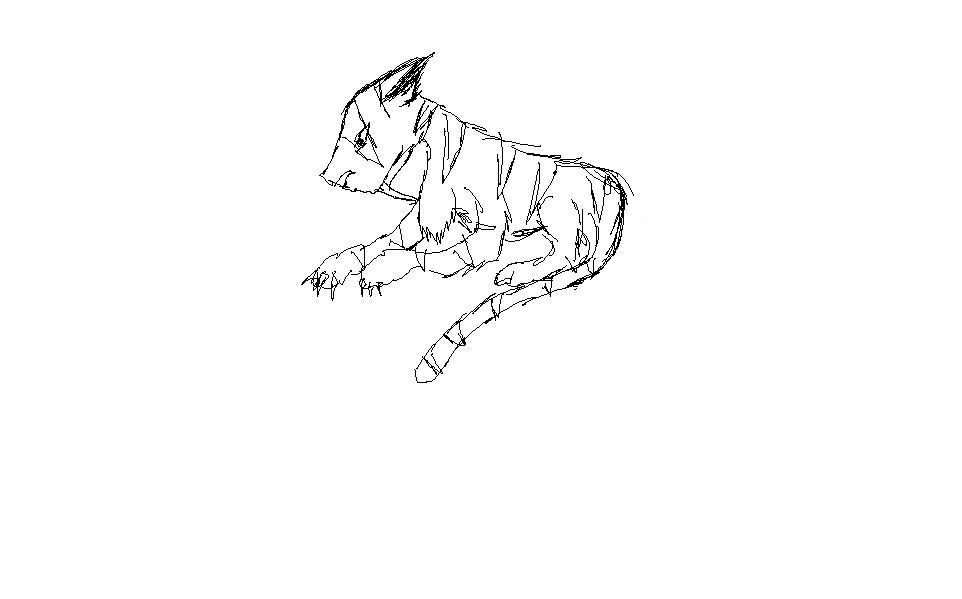 rak sketch.JPG